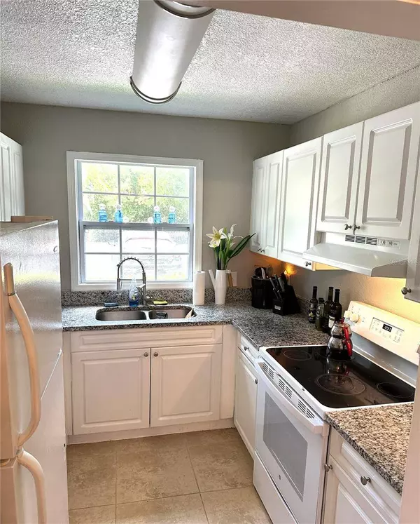 13739 JUNIPER BLOSSOM DR #none, Tampa, FL 33618