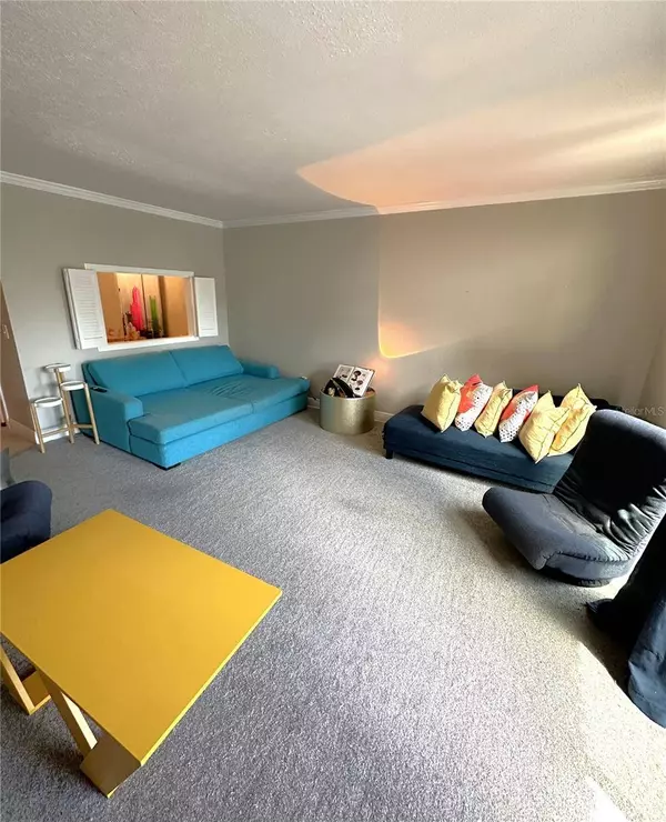 13739 JUNIPER BLOSSOM DR #none, Tampa, FL 33618