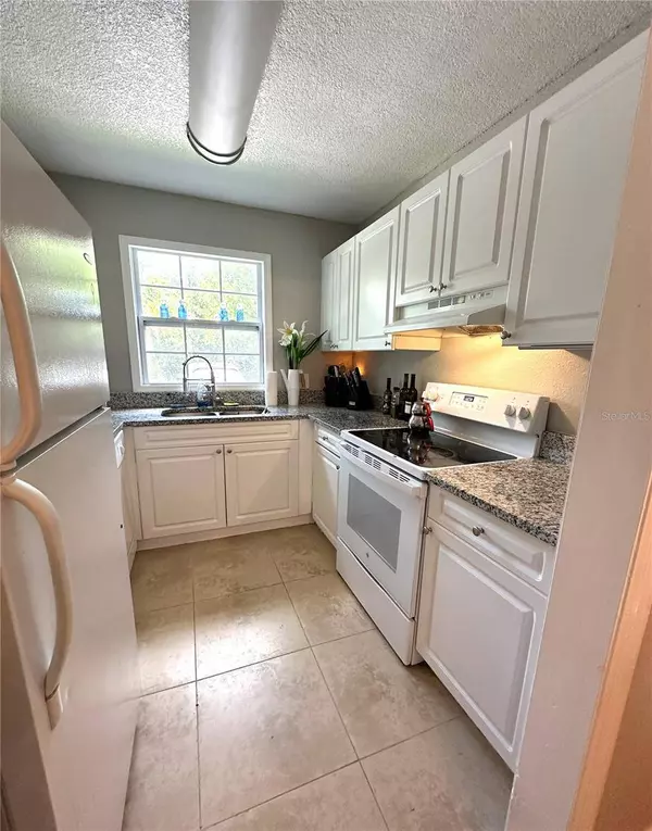 13739 JUNIPER BLOSSOM DR #none, Tampa, FL 33618