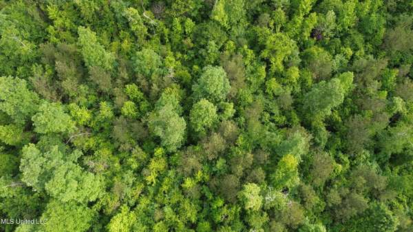 1885 Shiloh Road, Brandon, MS 39042