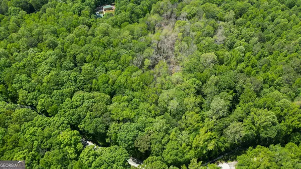 5+/- ACRES Byrom RD, Senoia, GA 30276