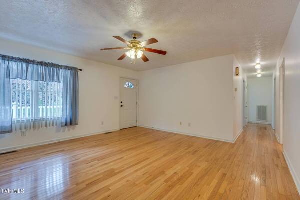 239 Mountain View DR, Mount Carmel, TN 37645