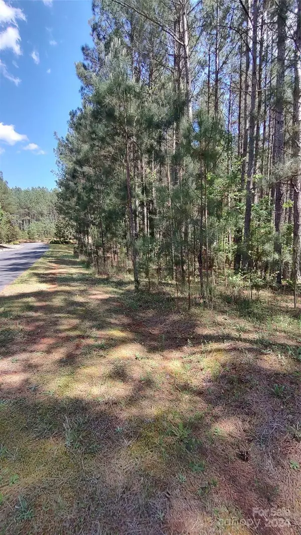 105 Cranberry LN #80, Mooresboro, NC 28114