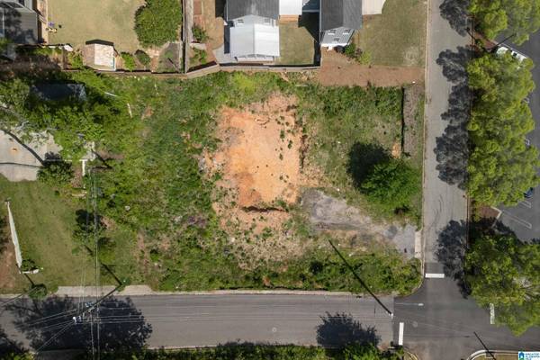 1104 IRVING ROAD #2, Homewood, AL 35209