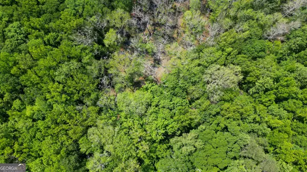 5+/- ACRES Byrom RD, Senoia, GA 30276