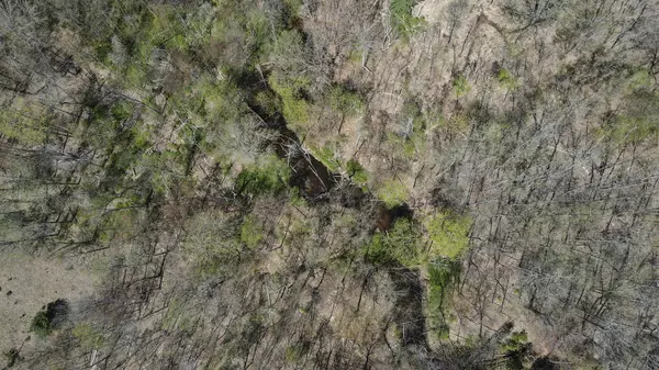 4395 Windward Forest Trail, Manistee, MI 49660