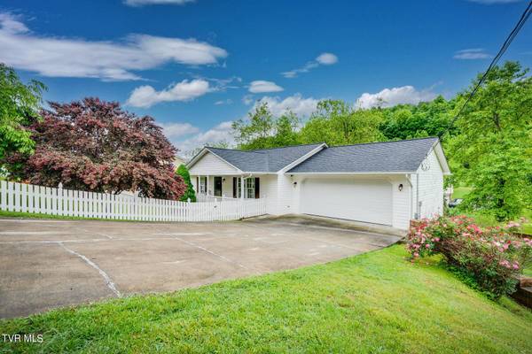 239 Mountain View DR, Mount Carmel, TN 37645