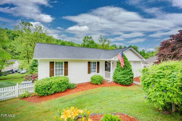 239 Mountain View DR, Mount Carmel, TN 37645