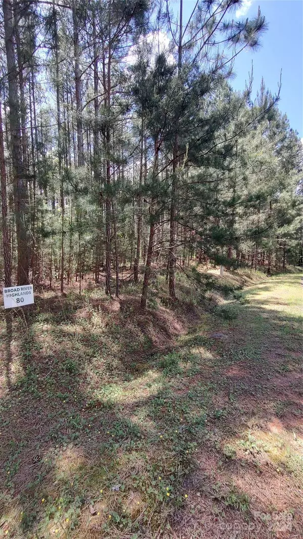 105 Cranberry LN #80, Mooresboro, NC 28114