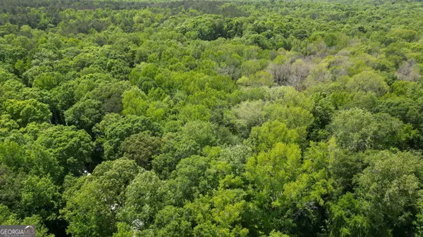 5+/- ACRES Byrom RD, Senoia, GA 30276