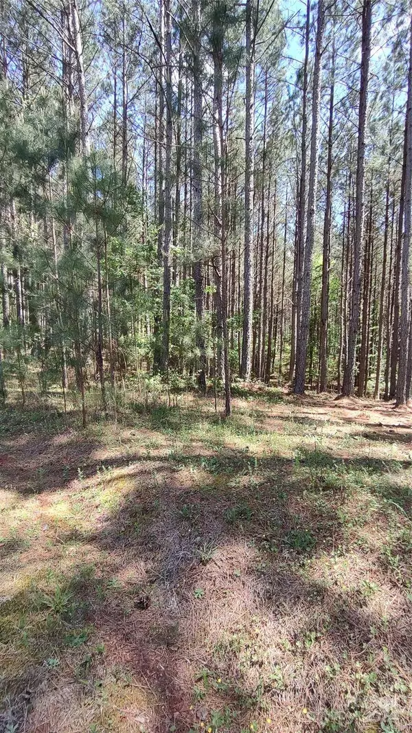 105 Cranberry LN #80, Mooresboro, NC 28114