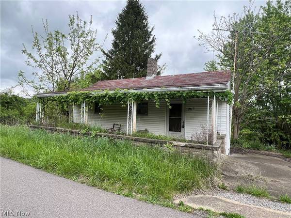 68605 Woods RD, Bridgeport, OH 43912