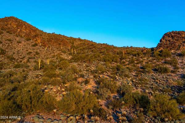 21235 N 102ND Street #1405, Scottsdale, AZ 85255