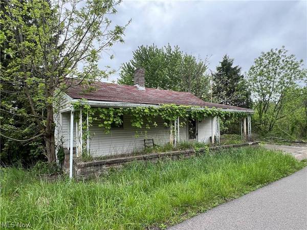 68605 Woods RD, Bridgeport, OH 43912