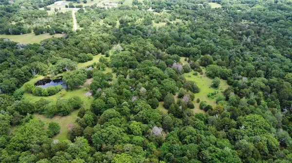 11656 Fm 751, Wills Point, TX 75169