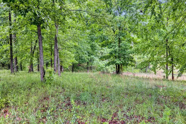 115 Tanasi Trl, Dover, TN 37058