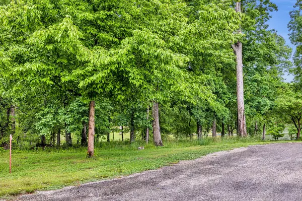 115 Tanasi Trl, Dover, TN 37058