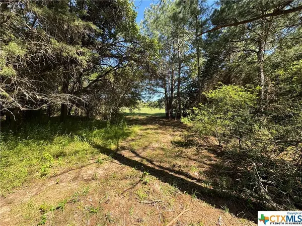 TBD Saint Delight Rd (Tract 2), Paige, TX 78659