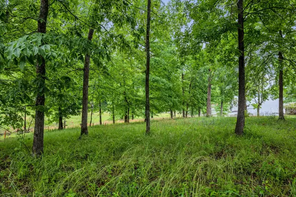 115 Tanasi Trl, Dover, TN 37058