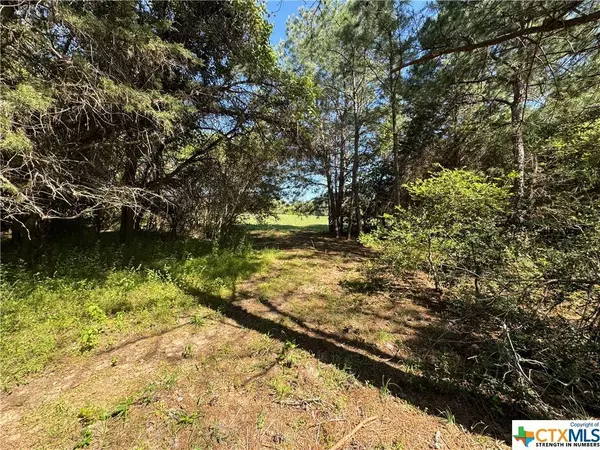 TBD Saint Delight Rd (Tract 2), Paige, TX 78659