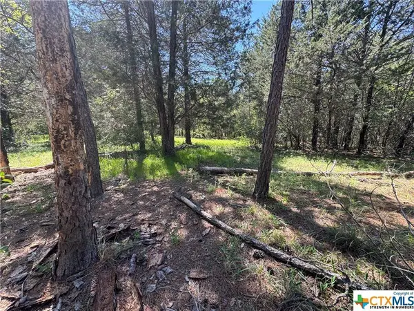 TBD Saint Delight Rd (Tract 2), Paige, TX 78659