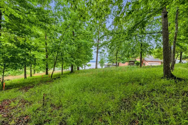 115 Tanasi Trl, Dover, TN 37058