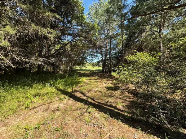 TBD Tract 2 Saint Delight RD, Paige, TX 78659