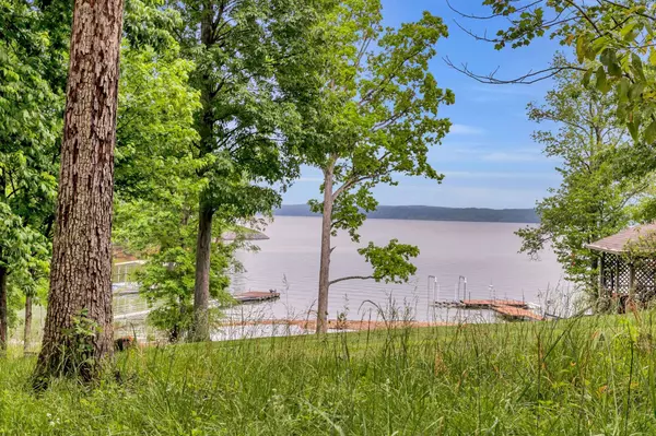 115 Tanasi Trl, Dover, TN 37058