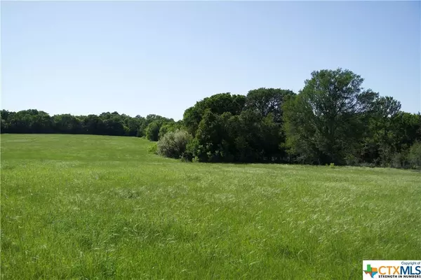 TBD Saint Delight Rd (Tract 2), Paige, TX 78659