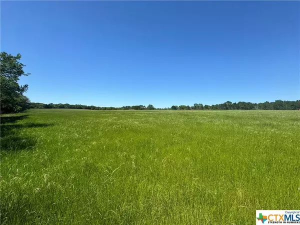 TBD Saint Delight Rd (Tract 2), Paige, TX 78659