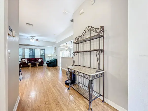 7013 MONARCH PARK DR, Apollo Beach, FL 33572