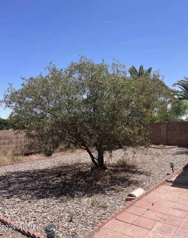 4282 W GAIL Drive, Chandler, AZ 85226