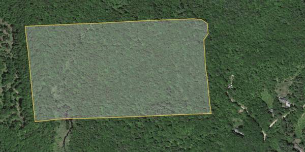 Lot 14 Partridge Hill RD #14, Sandwich, NH 03227