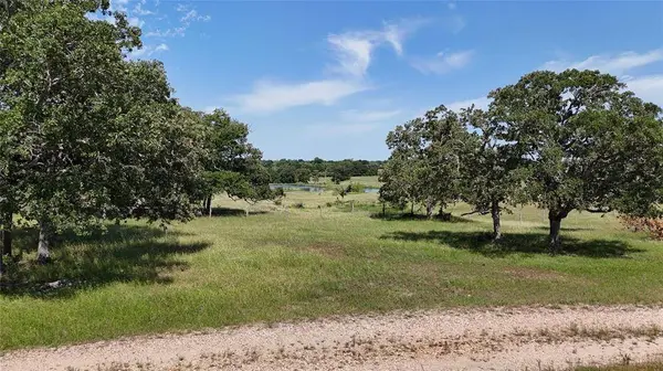 Tract 5 FM 60, Somerville, TX 77879