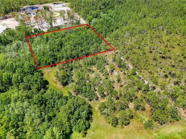 NO STREET, Lake Helen, FL 32744