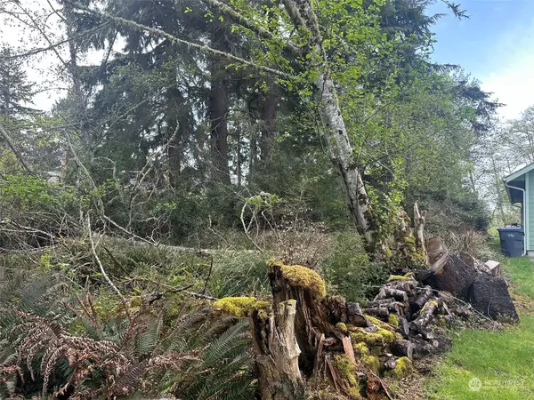 276 Bass AVE NE, Ocean Shores, WA 98569