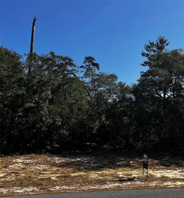 4451 SW 160TH ST, Ocala, FL 34473