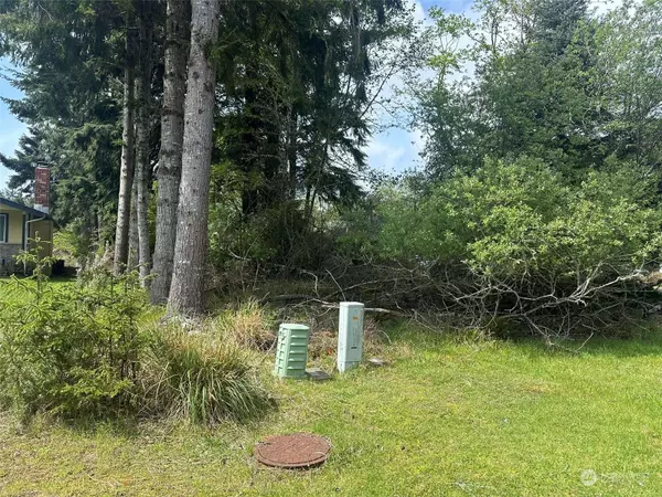 276 Bass AVE NE, Ocean Shores, WA 98569