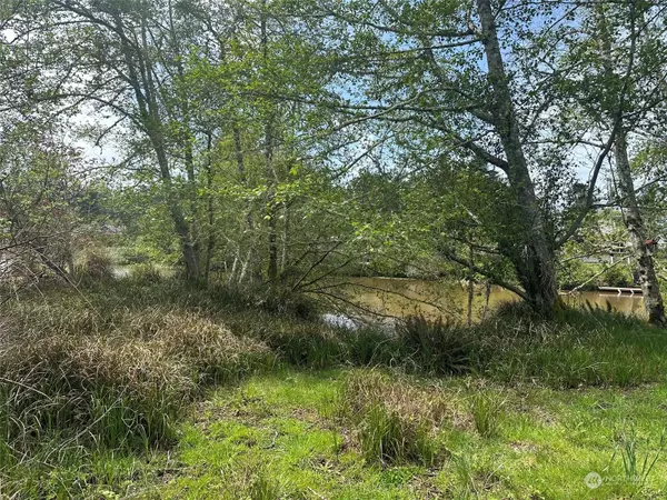 276 Bass AVE NE, Ocean Shores, WA 98569