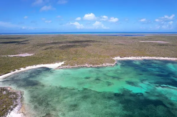 289 ACRES BURROWS HARBOUR Long Island,