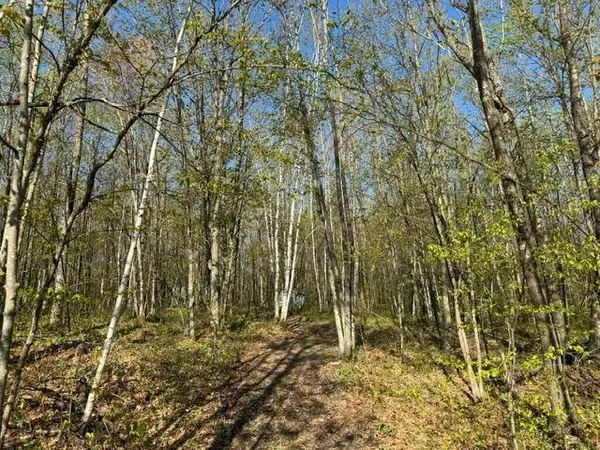 13741 193rd PL, Mcgrath, MN 56350