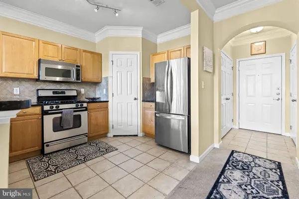 507 SUNSET VIEW TER SE #203, Leesburg, VA 20175