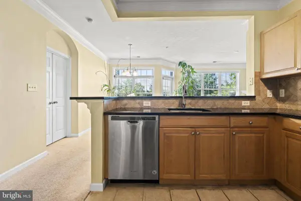 507 SUNSET VIEW TER SE #203, Leesburg, VA 20175