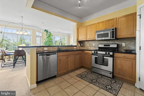 507 SUNSET VIEW TER SE #203, Leesburg, VA 20175