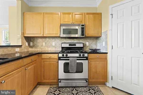 507 SUNSET VIEW TER SE #203, Leesburg, VA 20175