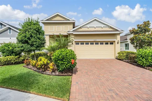 6228 SEA AMBER LN, Apollo Beach, FL 33572