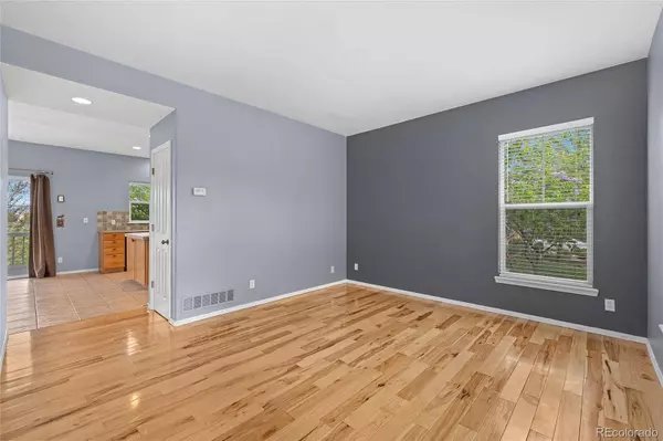 4828 Sunridge Terrace DR, Castle Rock, CO 80109