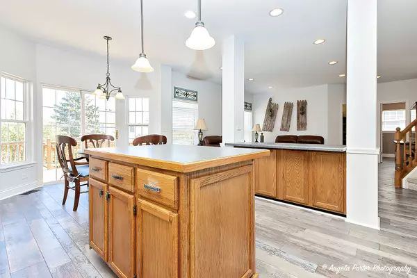 223 Edgewater DR, Bartlett, IL 60103