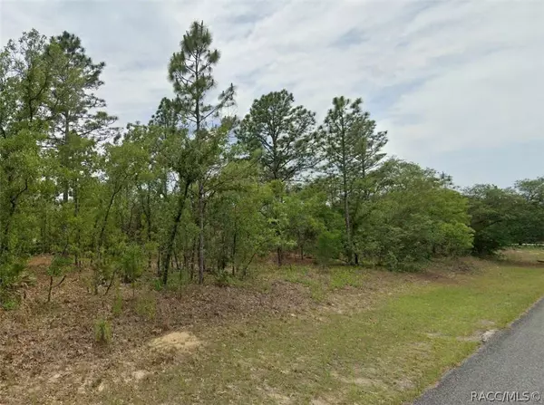 2428 W Newhope LN, Dunnellon, FL 34434