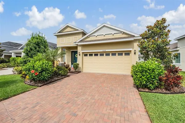 6228 SEA AMBER LN, Apollo Beach, FL 33572